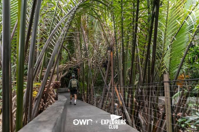 ทางเดินลอดอุโมงค์ต้นจากในป่าชายเลน